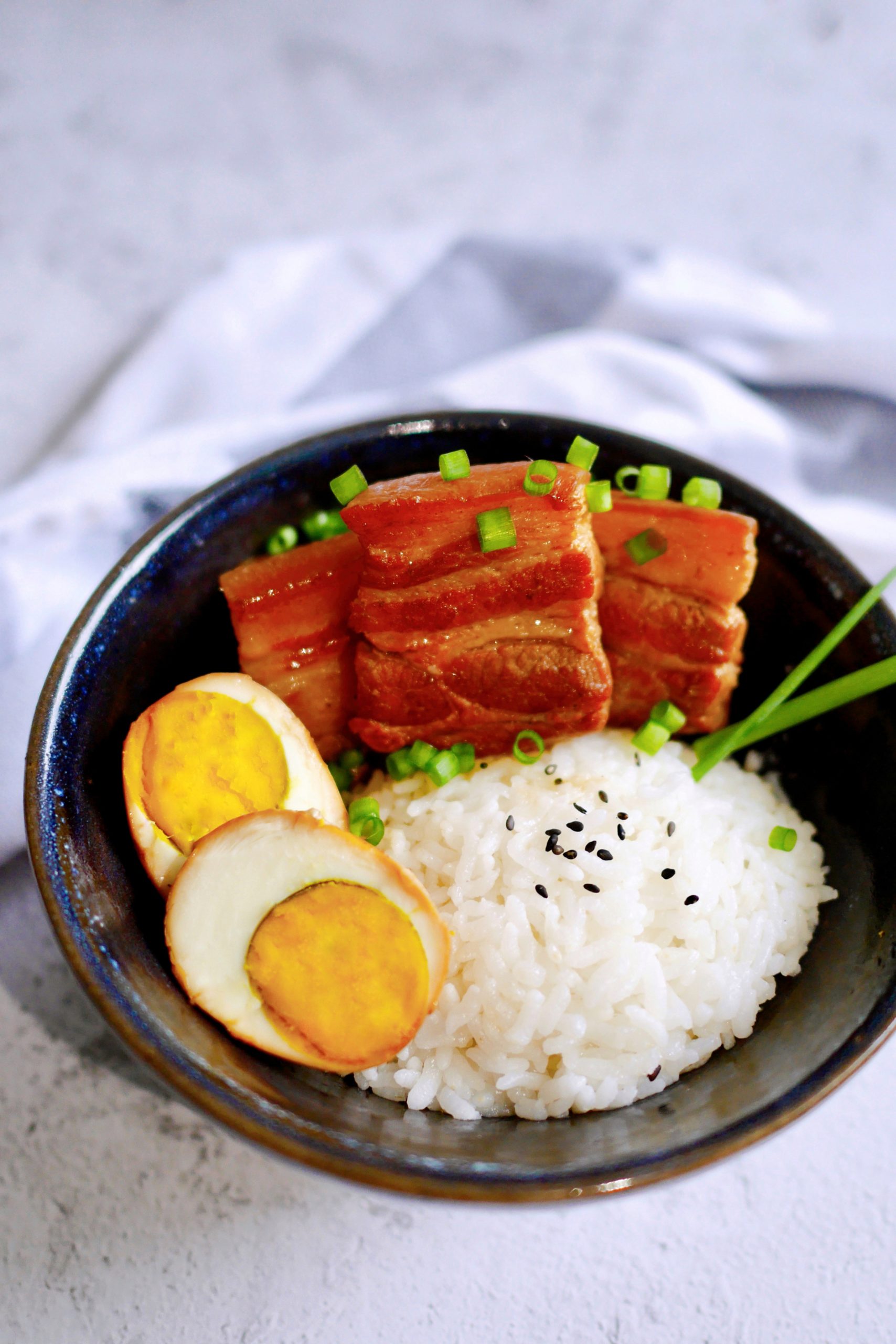 Taiwanese Braised Pork Belly Over Rice (台湾控肉饭) – Souped Up